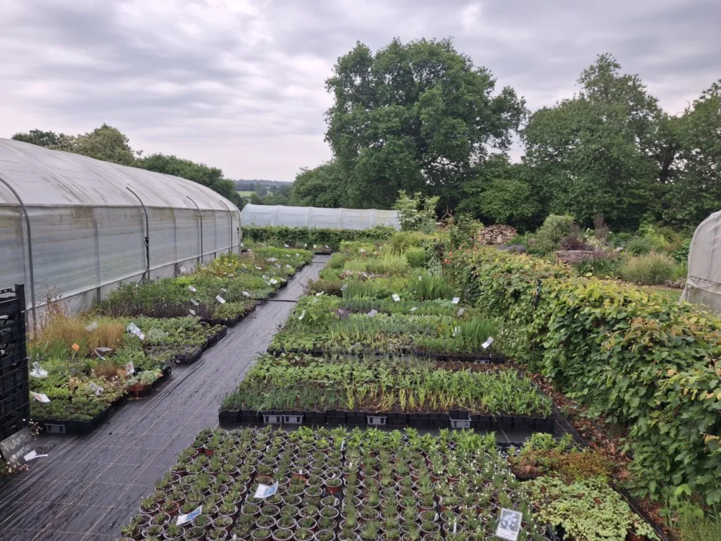 Pépinière de la petite foulerie