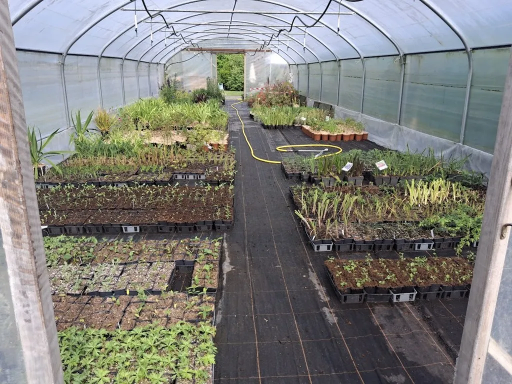 Pépinière de la petite foulerie