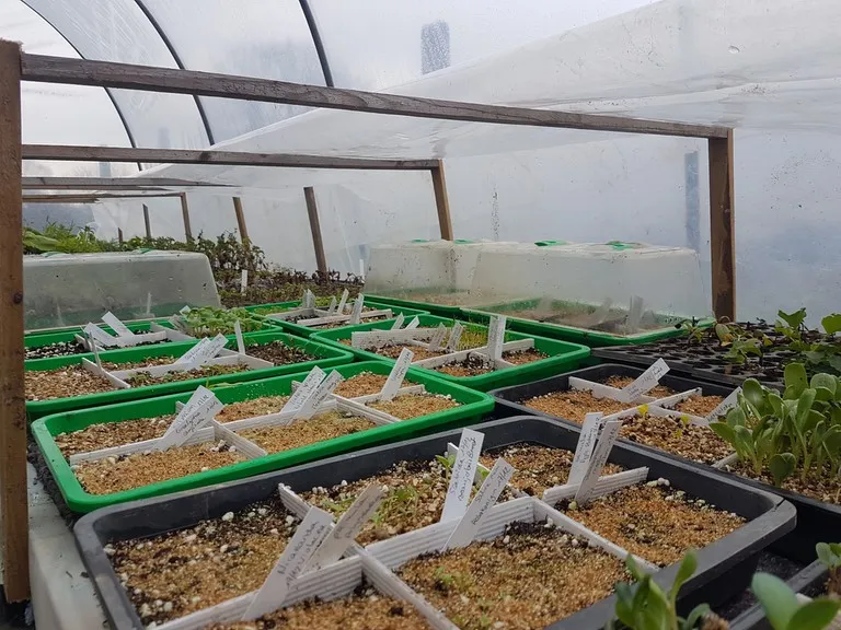 pepinière de la petite foulerie