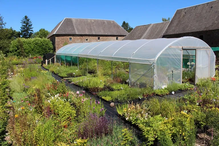 pepinière de la petite foulerie