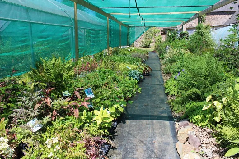 pepinière de la petite foulerie